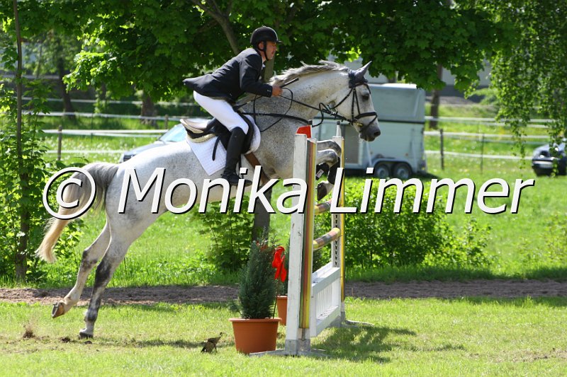 005M6974_Joshua_M Springen x.JPG